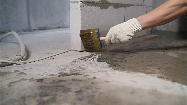 SJ Waterproofing Pros Waterproofing coverage map for Rockville, MN and surrounding area